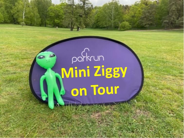 Mini Ziggy on Tour