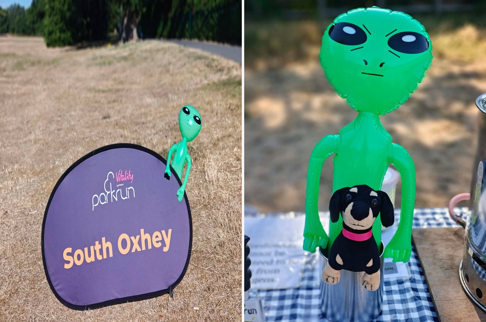 South Oxhey companion montage