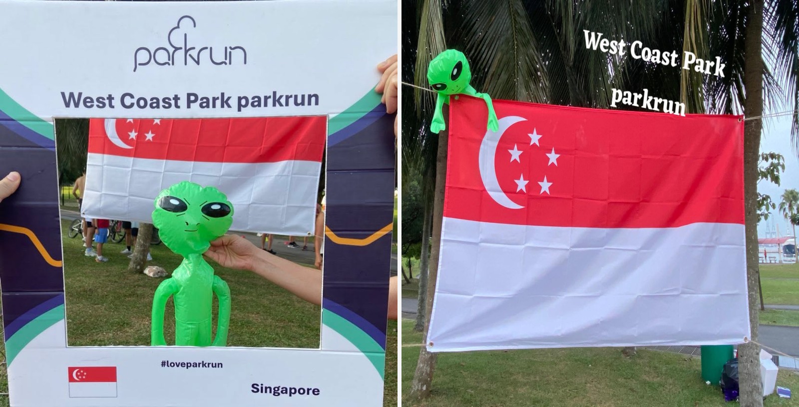 West Coast Park companion montage