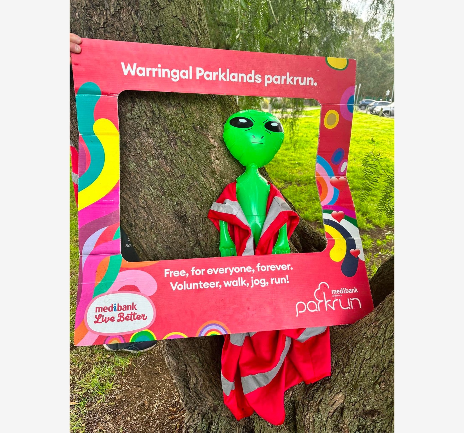 Warringal Parklands companion montage