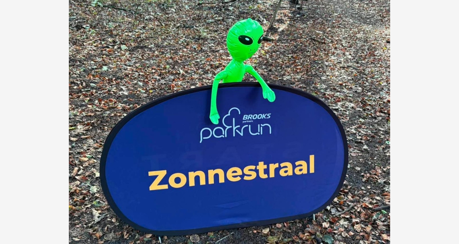 Zonnestraal companion montage