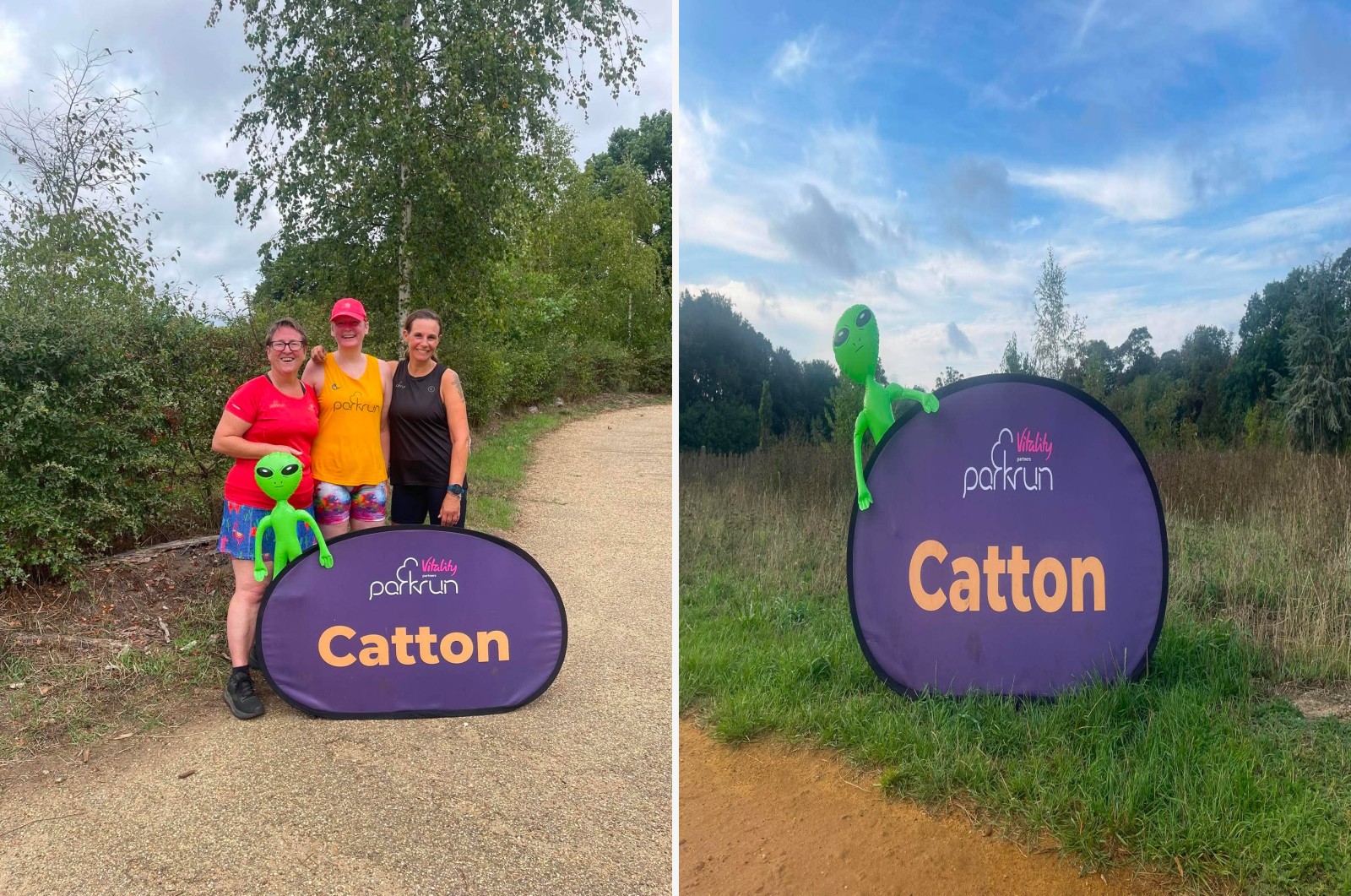 Catton companion montage
