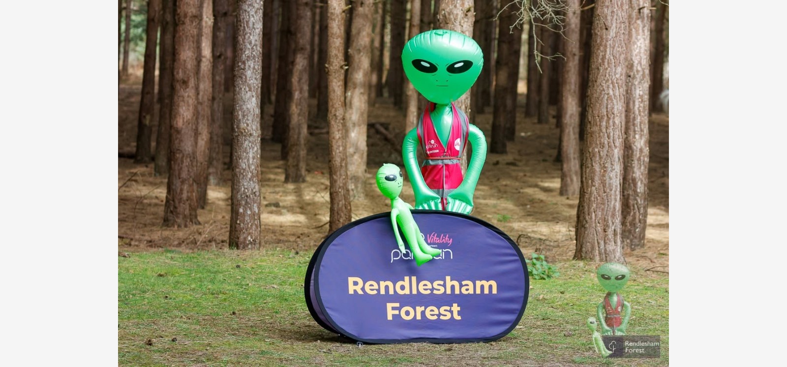 Rendlesham Forest companion montage