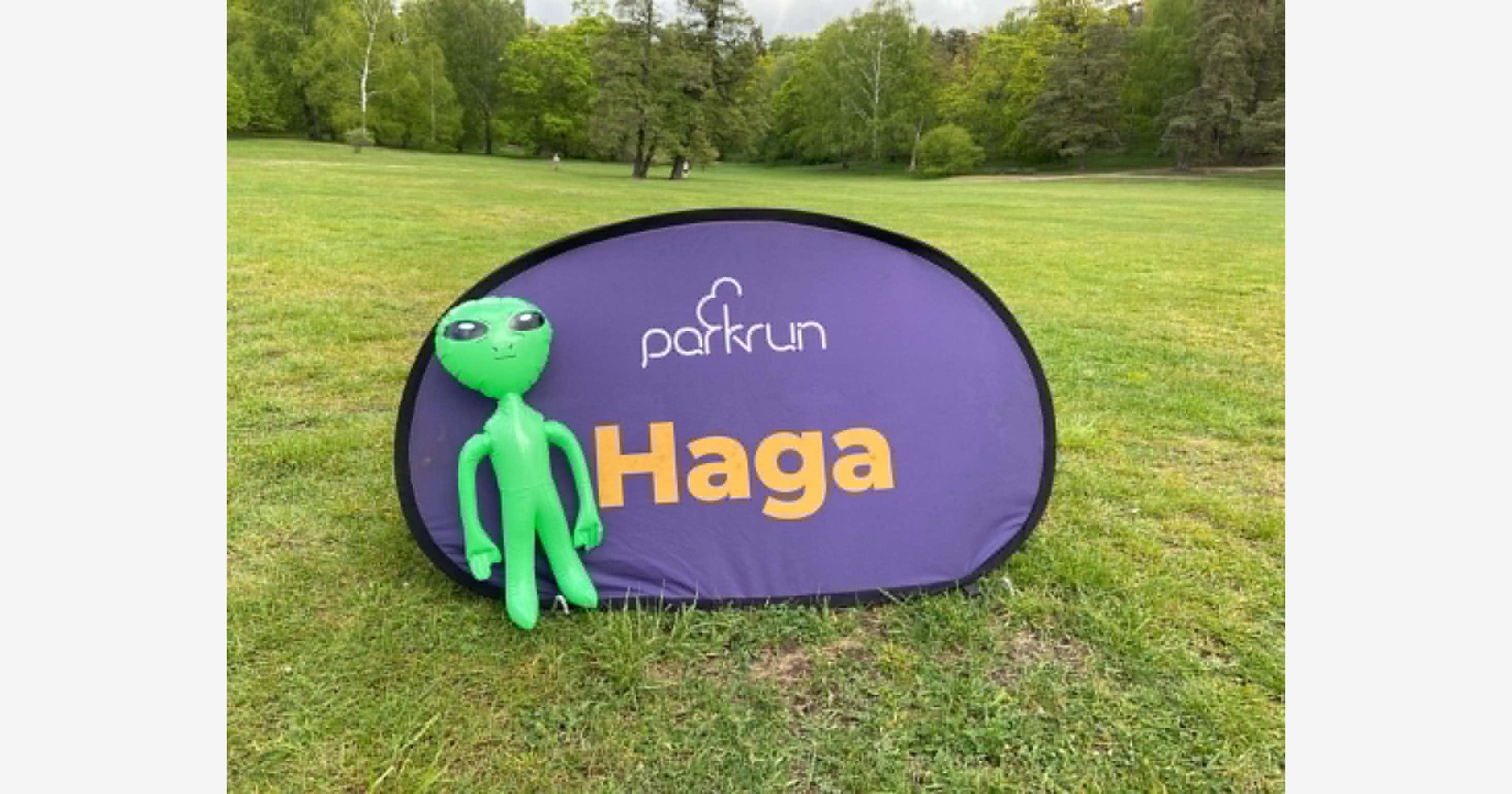Haga companion montage