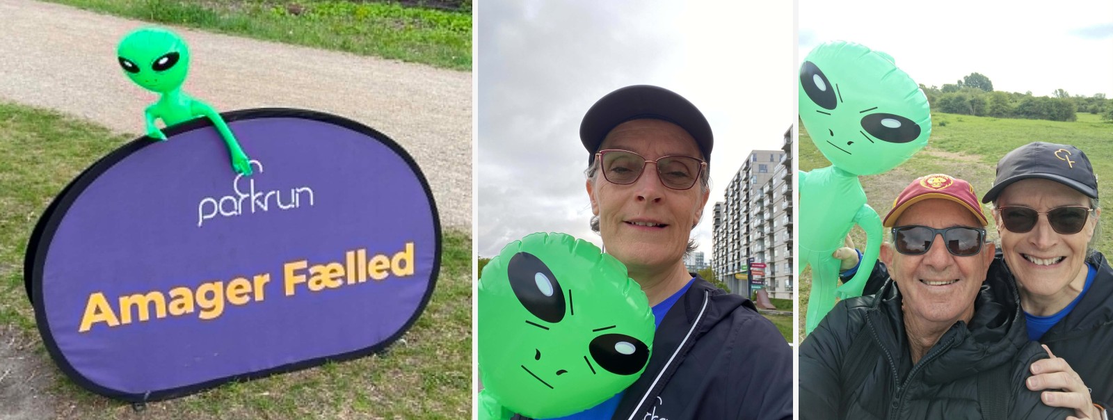 Amager Fælled companion montage