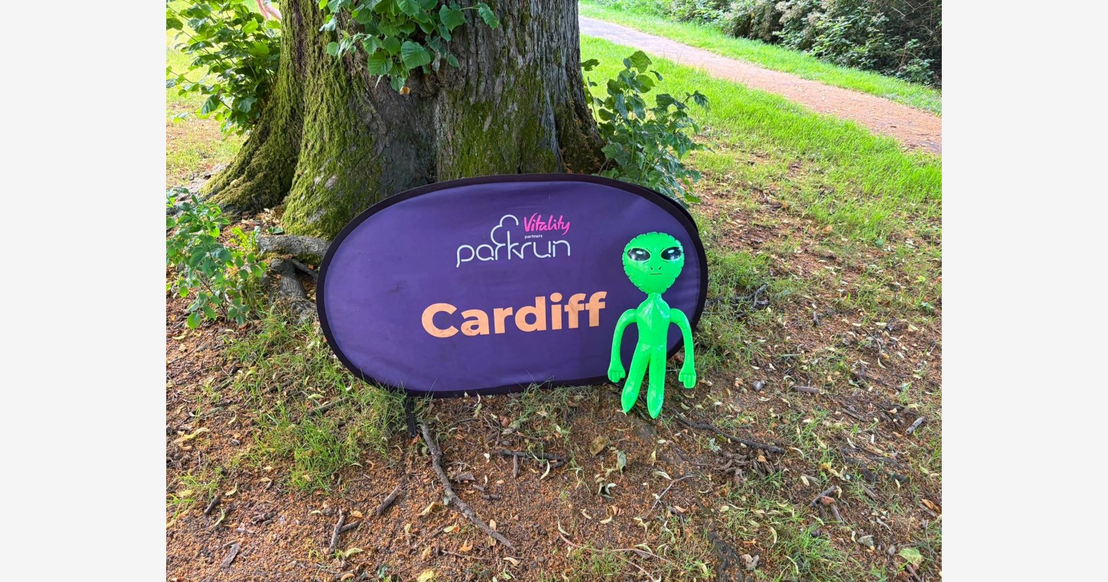 Cardiff companion montage